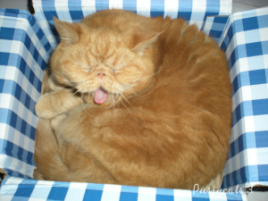 Rusty, caught you yawning